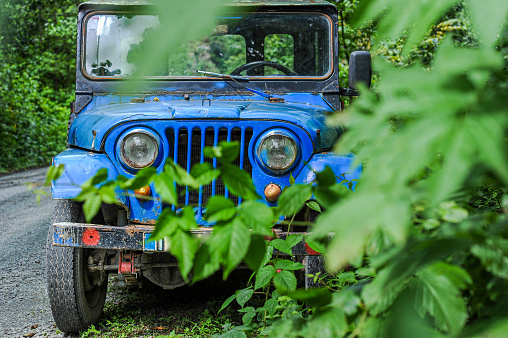 Chitwan National Park, Nepal - Circa May 2019: A vintage Land Rover Series II is being driven in Chitwan National Park jungle. The car has been modified for safari purpose.