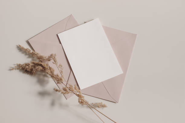 Boho wedding, birthday stationery composition. Blank greeting card, invitation mockup, blush pink, nude envelopes. Dry grass, festuca plant ins sunlight on beige table background. Fall flat lay, top stock photo