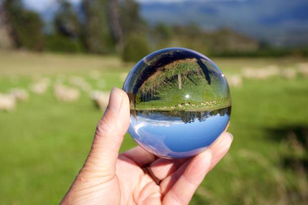 istock The Future of Sheep Farming Concept 1385204134