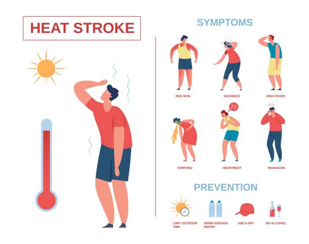 Heatstroke infographic poster, heat stroke symptoms and prevention. Summer sun safety, heat exhaustion, hot weather tips vector illustration vector art illustration