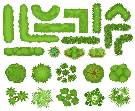 Top view trees, plants, garden bushes and hedges for landscape design. City park landscaping elements, hedge, bush, flowers vector set. Botanic objects with green foliage for plan isolated on white