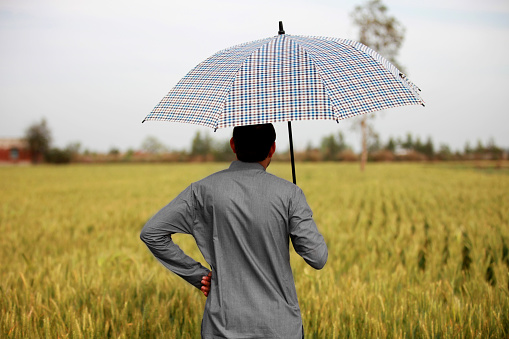 Rear view of farmer standing near green field during springtime holding umbrella portrait outdoor.
