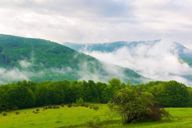 istock green and blue scenery in mountains 1385204441
