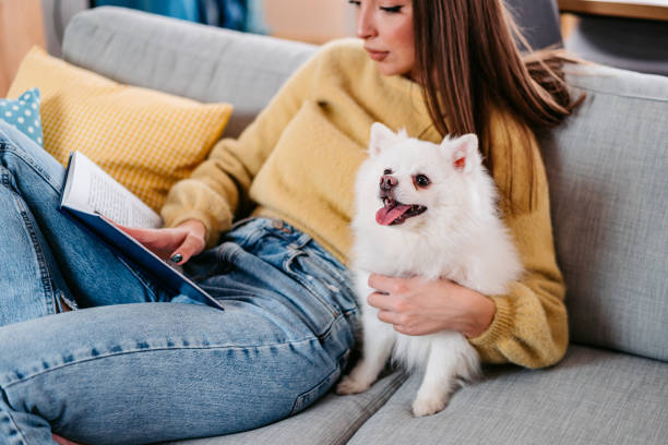 istock Young Woman With A Dog Reading A Book 1385207463