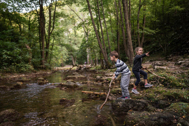 Little girl and boy playing with wooden branches by the stream in nature on a lovely spring day.