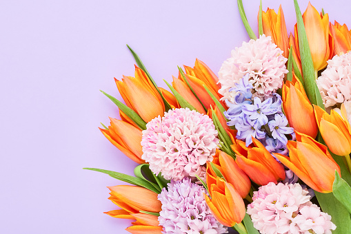 Bouquet of bright orange tulips and pink hyacinth flowers on a lilac background. Greeting card. Flat lay, copy space for text
