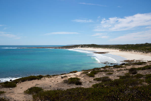 istock Daly Head, South Australia 1385218086