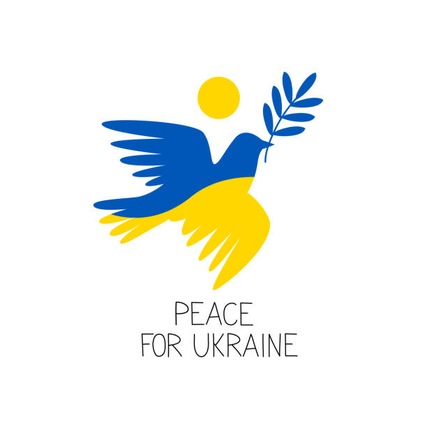 Dove of Peace in Ukranian flag colors blue and yellow. Dove of Peace in Ukranian flag colors blue and yellow. Pray for peace in Ukraine concept banner. Flying pigeon with a twig in a beak for Ukraine freedom. Vector illustration ukrainian flag stock illustrations