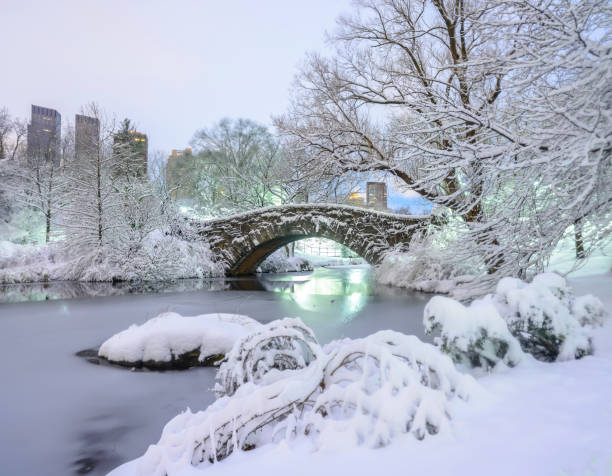 istock Gapstow Bridge in Central Park,snow storm 1385220079