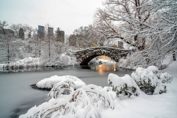 istock Gapstow Bridge in Central Park,snow storm 1385220169