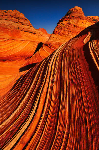 Sunrise on The Wave of Coyote Buttes Sunrise on The Wave sandstone formation, Coyote Buttes North, Vermilion Cliffs National Monument, Arizona, Southwest USA coyote buttes stock pictures, royalty-free photos & images