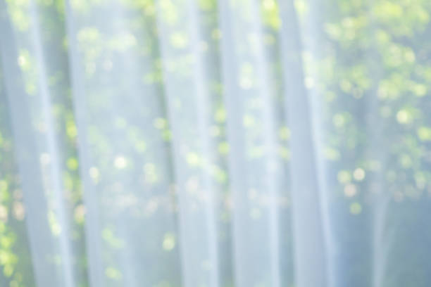 istock Abstract blur curtain window with green garden background 1385235063
