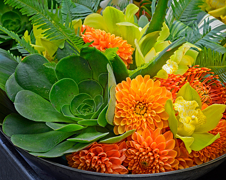 Flower arrangement with succulents, orange dahlias, yellow orchids and orange protea.