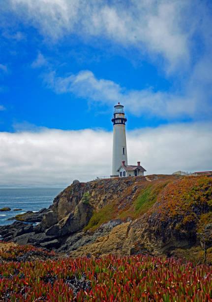istock Lighthouse on a Cliff at Pigeon Point 1385241792