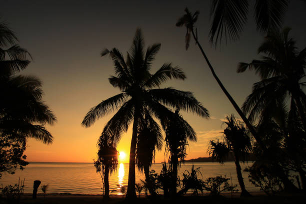istock Tropical Island Sunset on the Beach with Palm Trees 1385255350