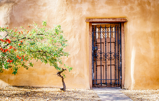 Beautiful firethorn tree in front of traditional adobe building in Santa Fe, New Mexico
