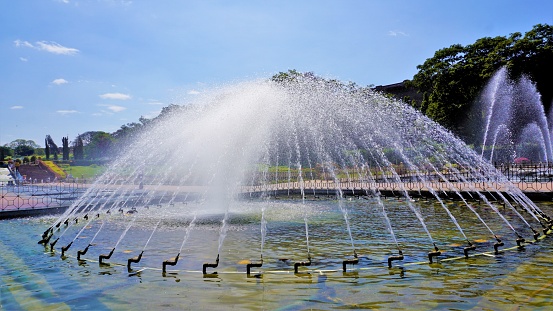 A local park with a fountain in it's pond in the summertime.