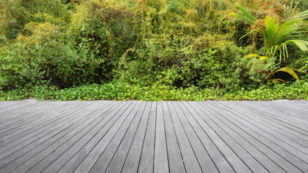 пустая деревянная терраса с тропической зеленой живой изгородью - formal garden tropical climate park plant стоковые фото и изображения