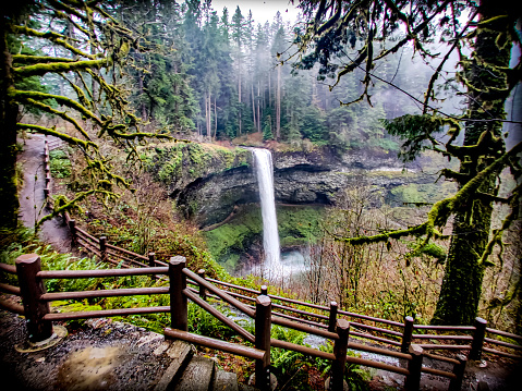 A view of South Falls at Silver Falls State Park in Oregon.