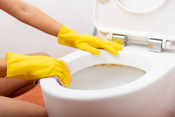 Hands of Asian woman cleaning toilet seat by pink cloth wipe restroom at house stock photo