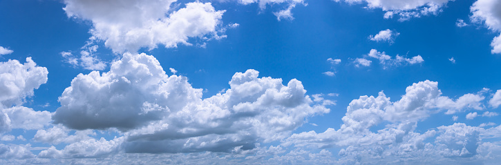 Treetops against blue sky with white clouds, beautiful nature background with copy space, full frame horizontal composition