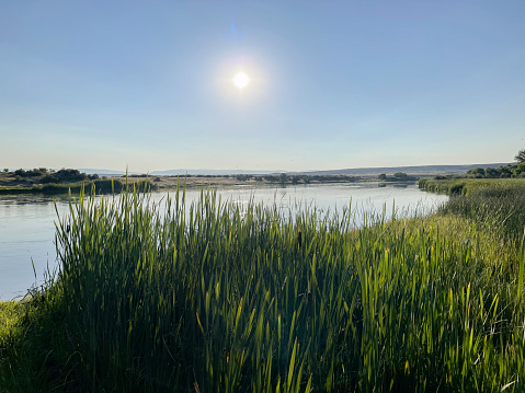 View of the Havel river in Potsdam - Brandenburg, Germany