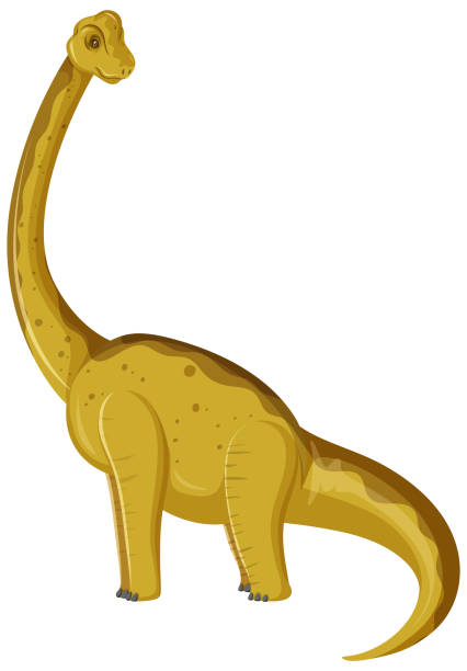 A dinosaur brachiosaurus on white background vector art illustration