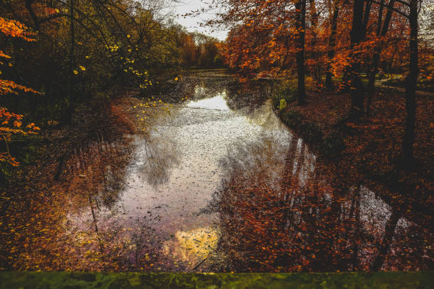 A lake in autumn with beautiful colors.