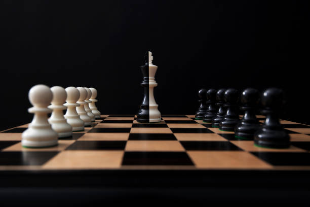 Double color king on chess board stock photo