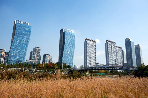 Songdo Central Park Songdo Central Park in Incheon, South Korea. songdo ibd stock pictures, royalty-free photos & images