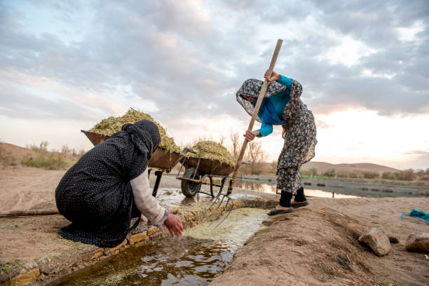 Local women working on a small fish pond in desert, Iran stock photo