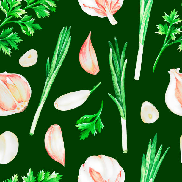 ilustrações, clipart, desenhos animados e ícones de alho, coentro e cebola verde. ilustração de aquarela. isolado em um fundo verde. para design. - chive onion spring onion garlic