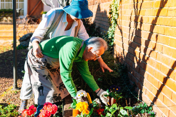 istock Elderly couple working and tending their garden 1385314642