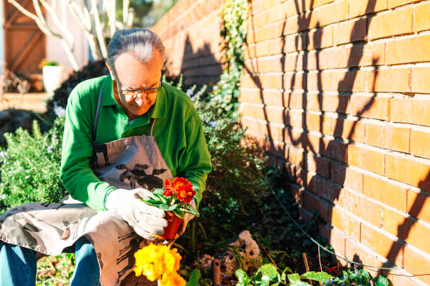 older man relaxing, while tending to his garden