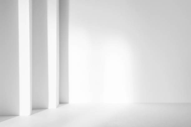 istock Abstract white 3d studio background for cosmetic product presentation. Empty grey room with shadows of window. Display product with blurred backdrop. 1385314677