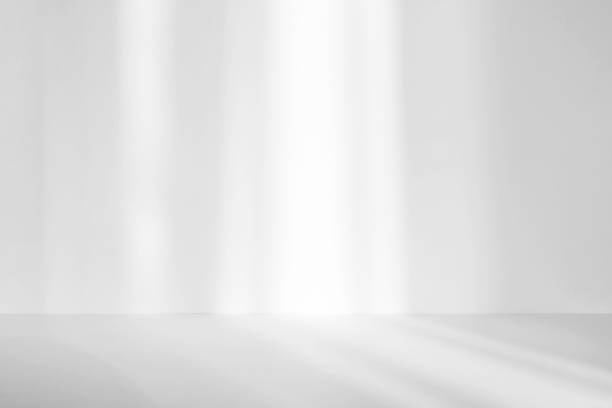 Abstract white studio background for product presentation. Empty room with shadows of window. Display product with blurred backdrop.