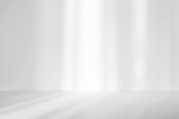istock Abstract white studio background for product presentation. Empty room with shadows of window. Display product with blurred backdrop. 1385314711