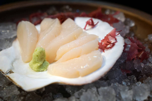 Hotate sashimi set is beautifully arranged on ice decorated with large shell.
