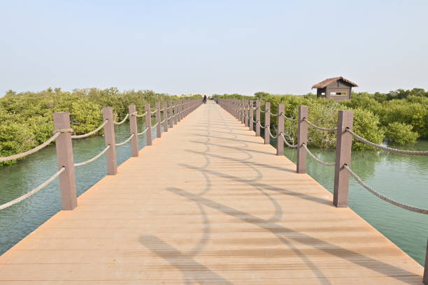 istock Al Khor Beach Purple island 1385316771