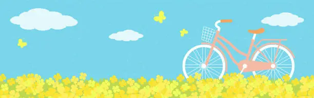 Vector illustration of vector background with a bicycle on the canola flower field for banners, cards, flyers, social media wallpapers, etc.