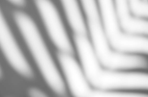 istock Leaves natural shadow overlay on white texture background, for overlay on product presentation, backdrop and mockup, summer seasonal concept 1385323069