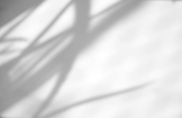 istock Leaves natural shadow overlay on white texture background with copy space, for overlay on product presentation, backdrop and mockup 1385323259