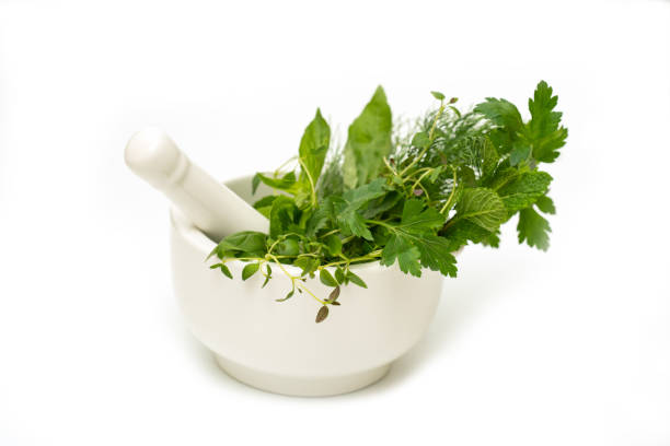 istock Herbs in white mortar and pestle 1385326078