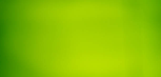 istock Blur green bokeh bright light nature green background 1385327459