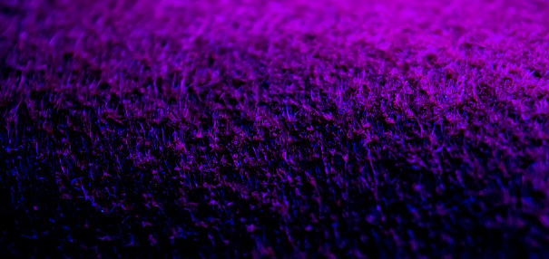 Texture purple wallpaper, purple wall with dark background.