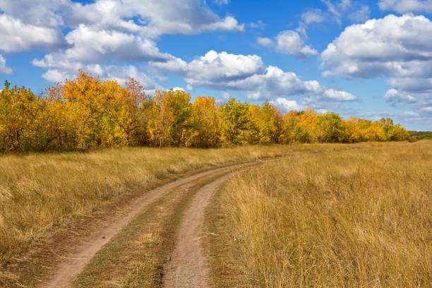 istock ground road among an autumn fields 1385328323