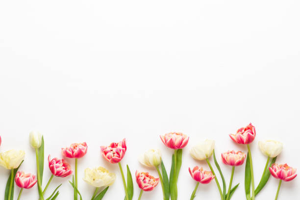 istock Spring flowers tulips on pastel colors background. Retro vintage style. 1385333654