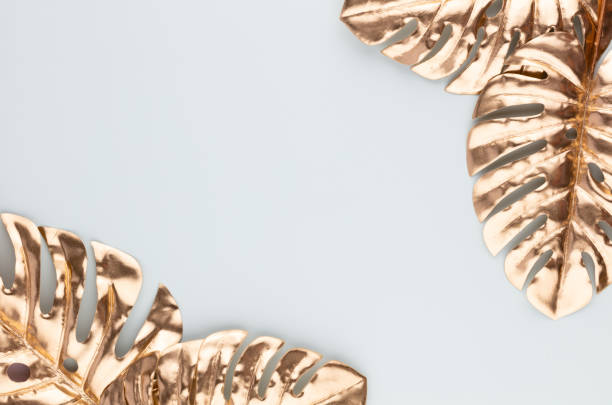 istock Monstera gold leaf on blue background. Palm leaf, Flat lay and top view. 1385336613
