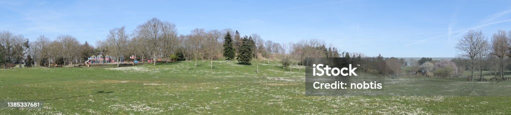 Panoramic  Children's playground in a public park  Glade with daisies  Spring season Bare Tree Stock Photo