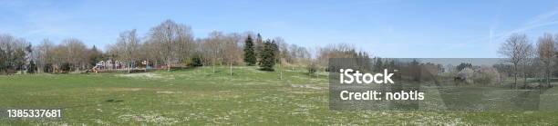 Panoramic Childrens Playground In A Public Park Glade With Daisies Spring Season Stock Photo - Download Image Now